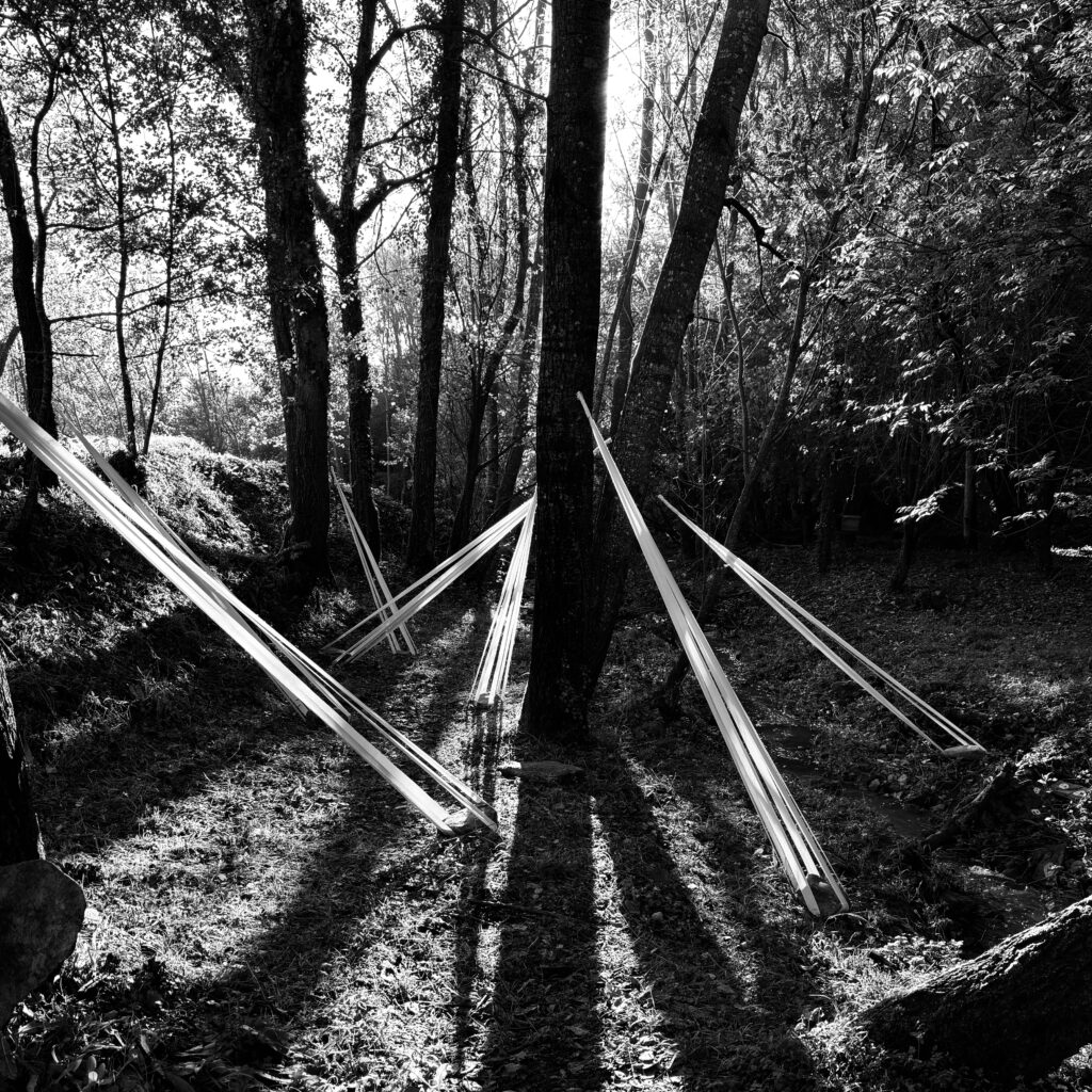 Lines of Life