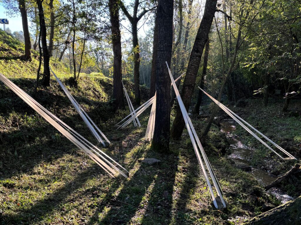 Lines of Life